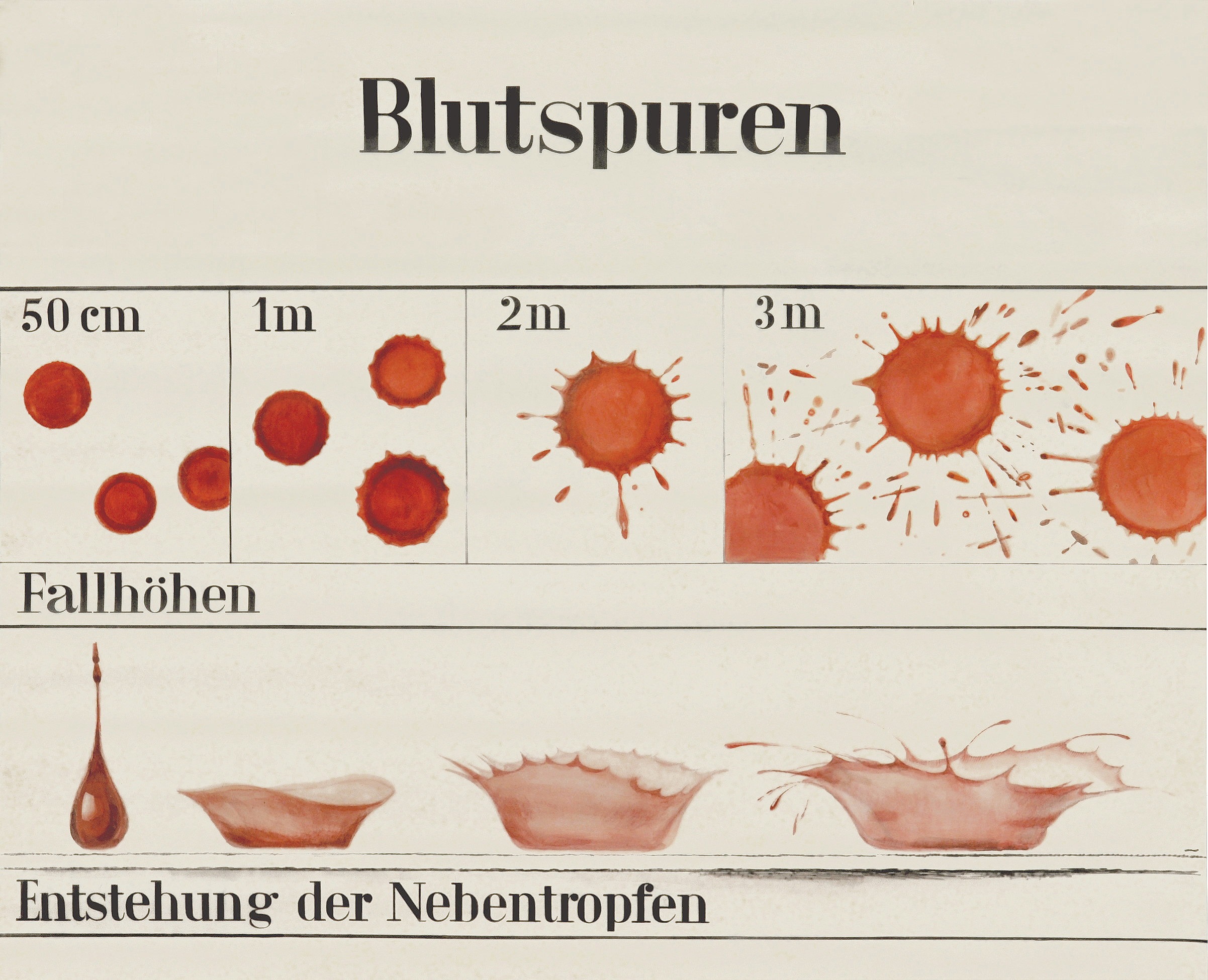 Martha Pfannenschmid, Lehrtafel © IRM Basel